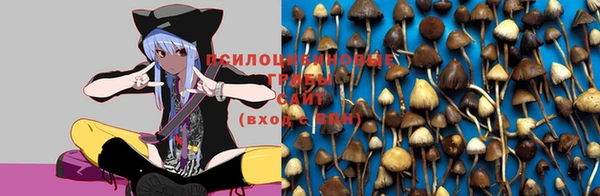 кокс Алзамай