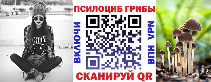 Псилоцибиновые грибы мицелий Чистополь