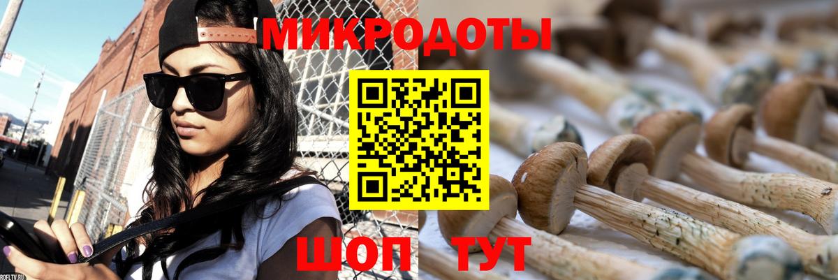 Псилоцибиновые грибы Psilocybine cubensis  Галлюциногенные грибы мицелий  Вход с VPN  Чистополь 
