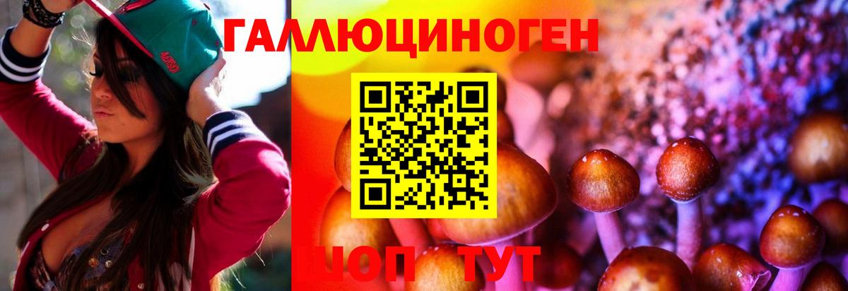 Галлюциногенные грибы MAGIC MUSHROOMS Чистополь