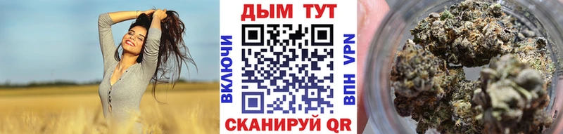Марихуана SATIVA & INDICA закладка Чистополь